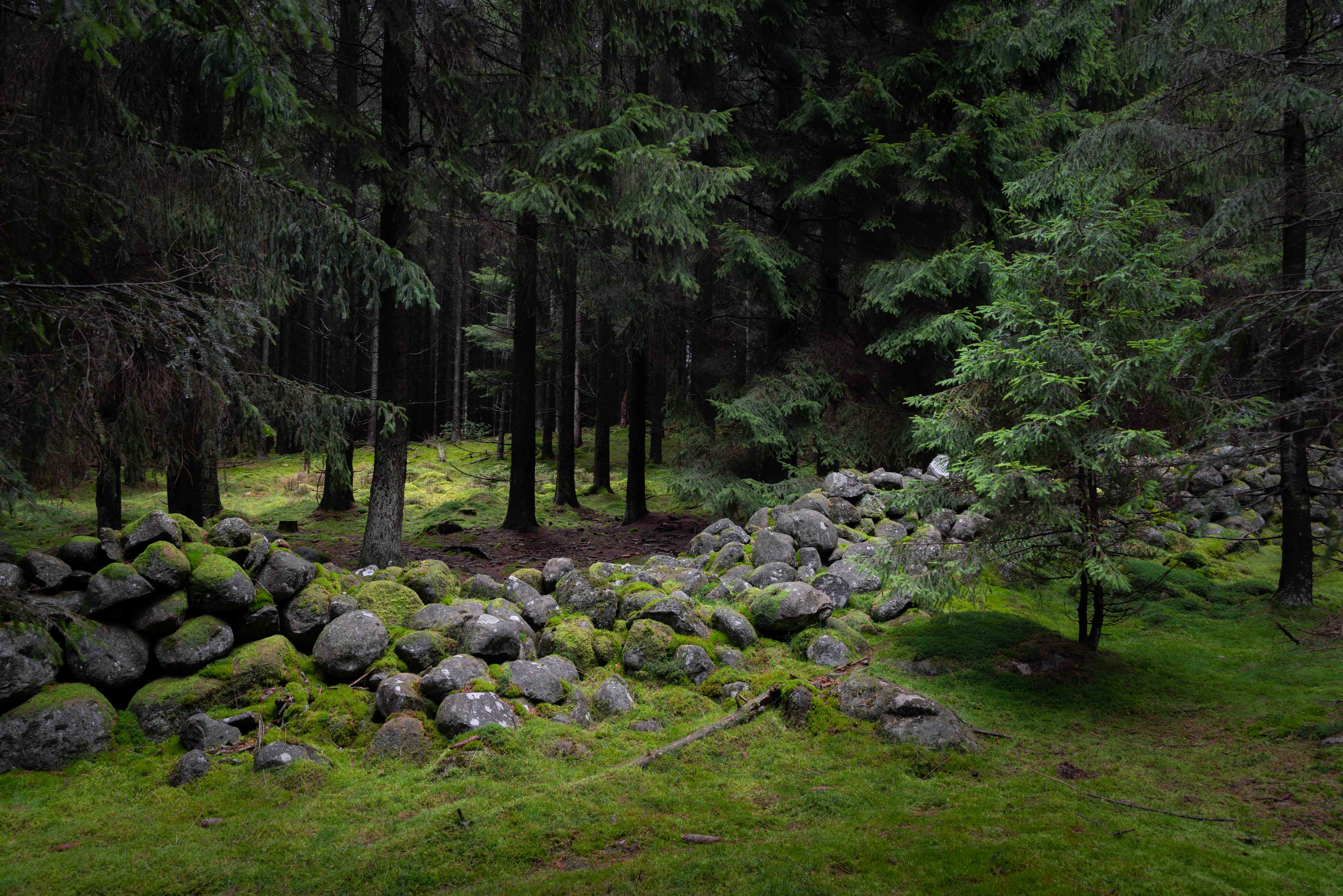 Fallen stone wall in the forest